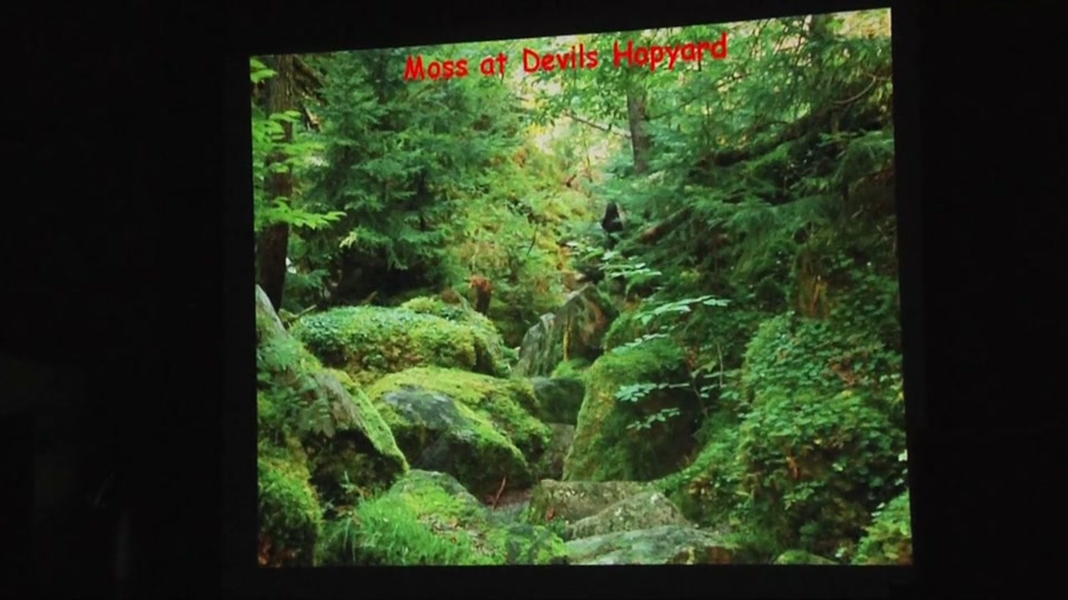 NEK Audubon: Birds of the Boreal Forest