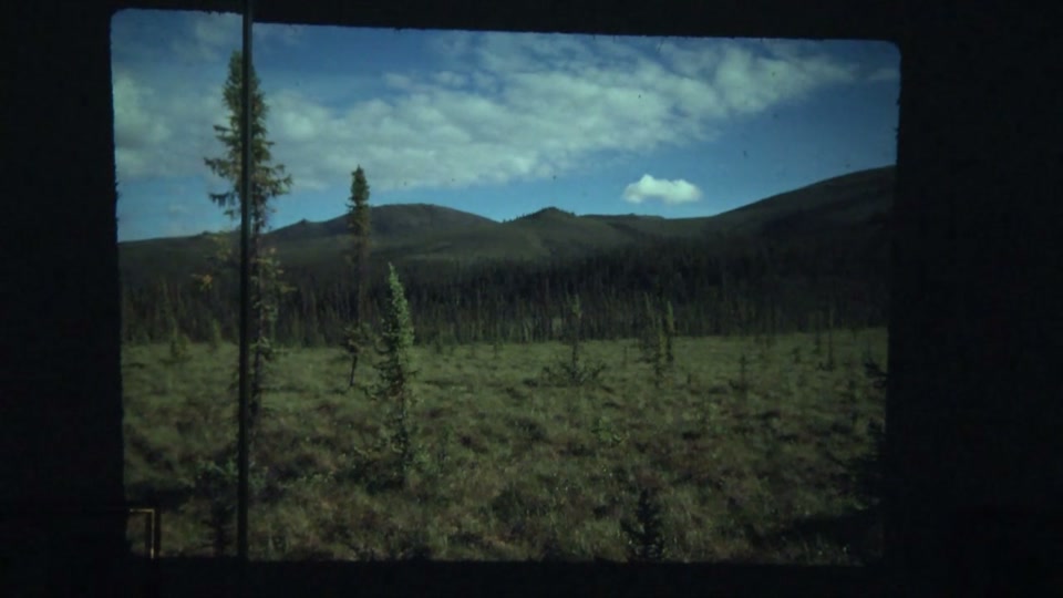 CCPS Presents:The Nature of the Northern Forest