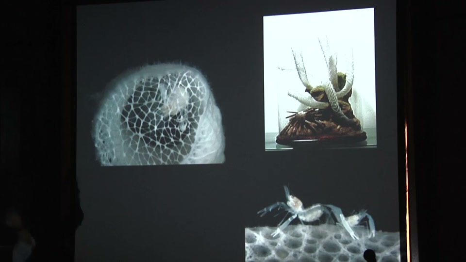 Osher: Fairbanks Museum Past, Present & Future