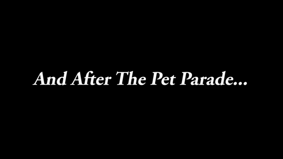 St. Johnsbury Chamber: Pet Parade 2016