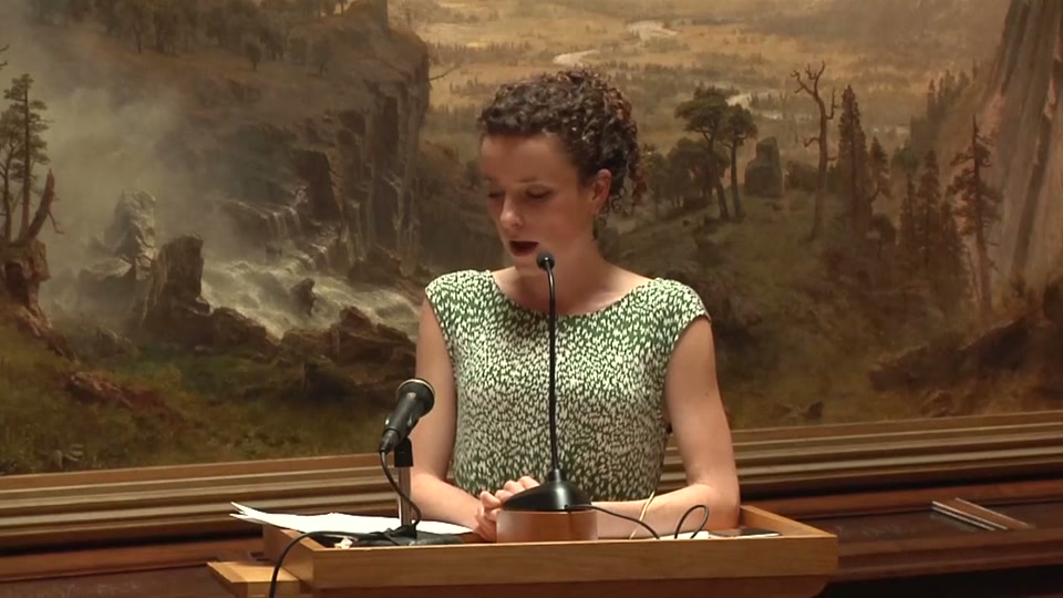 St. Johnsbury Athenaeum: Readings in the Gallery, Rose McLarney