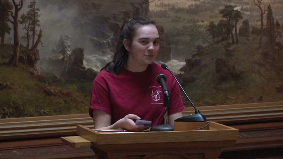 St. Johnsbury Athenaeum: Junior Poetry Slam