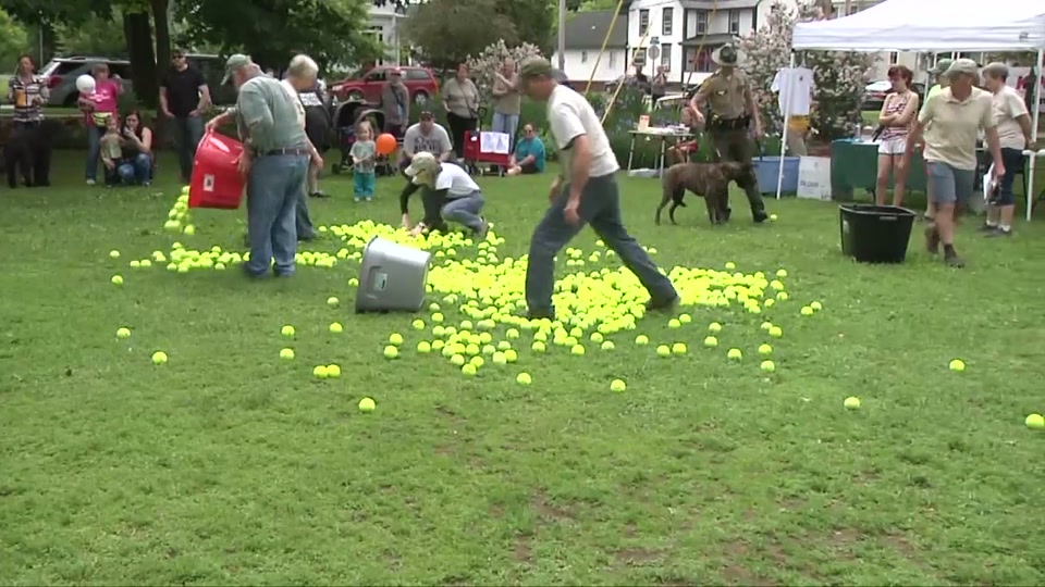 St. Johnsbury Chamber: Pet Parade 2017