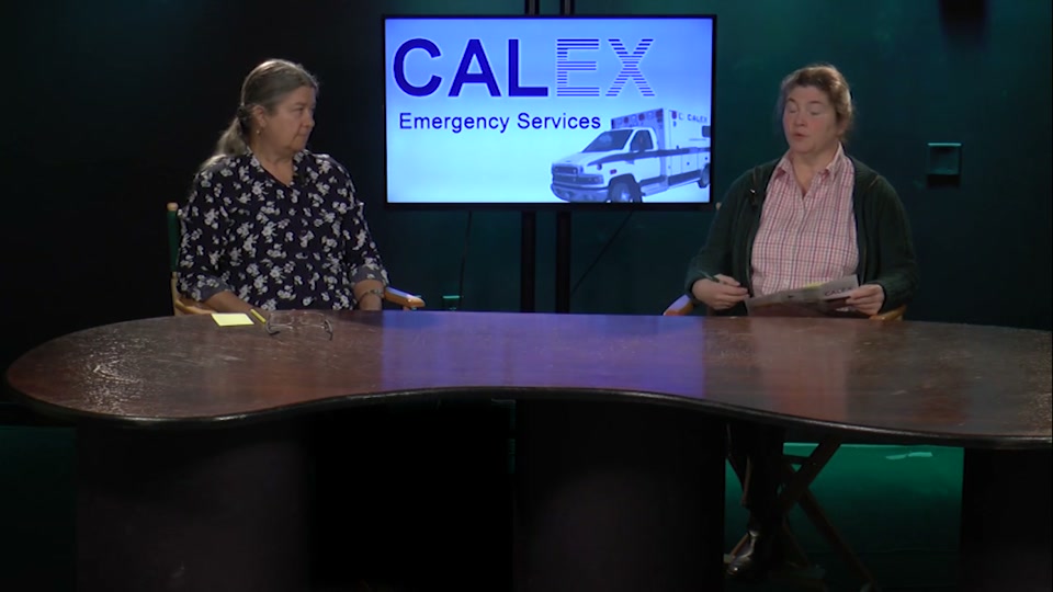 CALEX: Annual Fundraising Campaign 2017