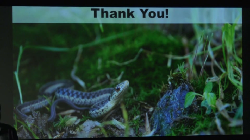 Osher: Snakes of Vermont