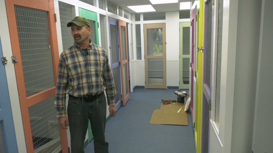 Kingdom Animal Shelter: New Home Update