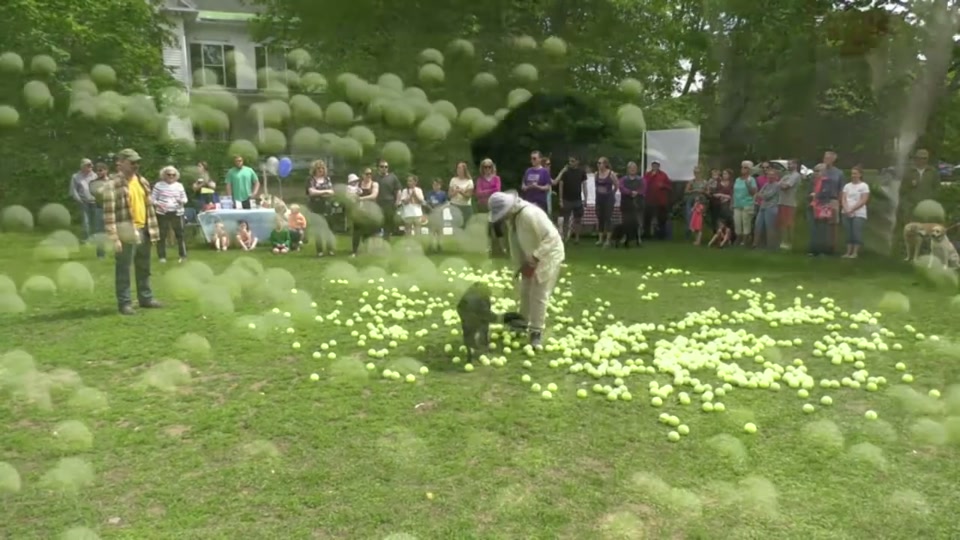 St. Johnsbury Chamber: Pet Parade 2018