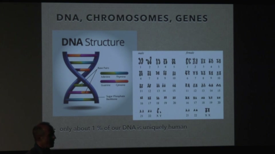 Osher: Genealogy and Genetics