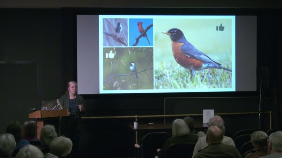 Osher: Slow Birding