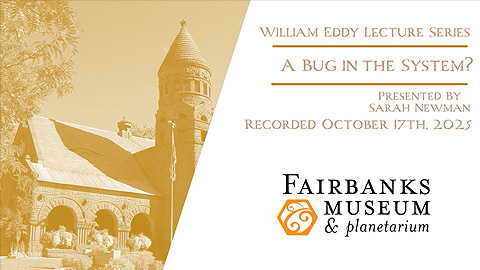 FM&P: Eddy Lecture: A Bug In The System?