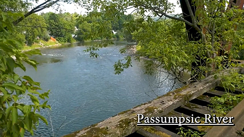 River Scenic St. J 8/14/25