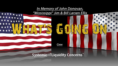 What's Going On? Systemic Liquidity Concerns