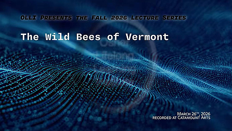 OLLI Spring 2026: The Wild Bees of VT