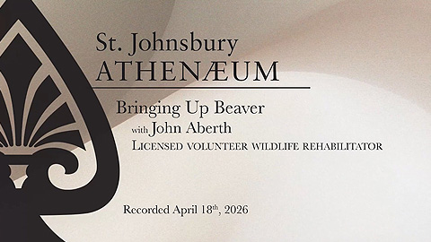 St. J. Athenaeum: Bringing Up Beaver